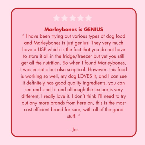 Marleybones Wet Dog Food - Beef & Superfoods