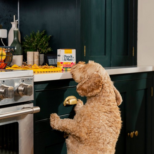 Pooch & Mutt Chicken with Beef Wet Food