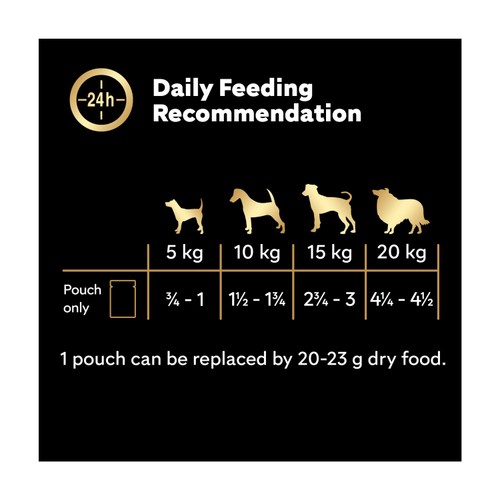 Cesar Deliciously Fresh Dog Food Pouches Favourites in Sauce