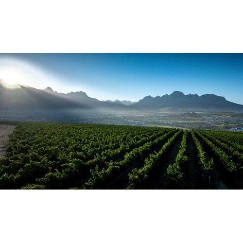 Kleine Zalze Bush Vine Chenin Blanc