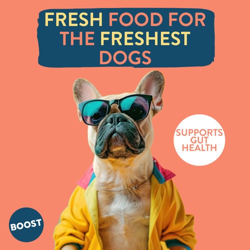 Boost Pet Chicken with Superfoods Meal for Dogs