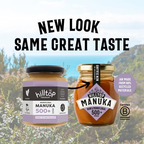Hilltop Honey Manuka MGO500+ Honey