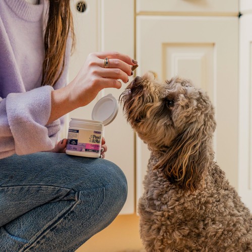 Pooch and Mutt Hemp Chewies