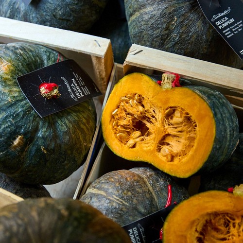 Natoora Italian Sweet Delica Pumpkin