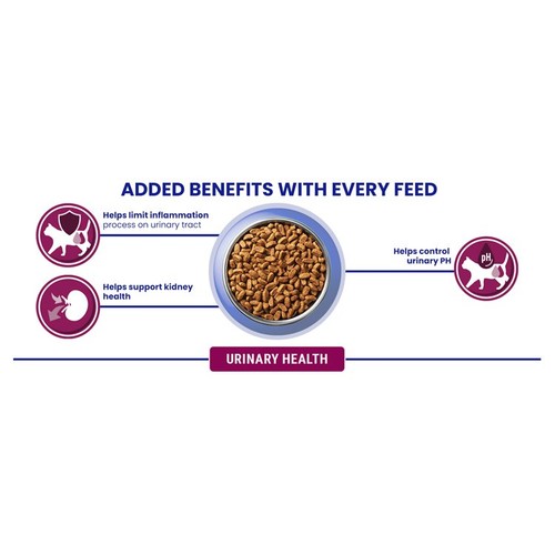Purina One Urinary Health Chicken Dry Cat Food