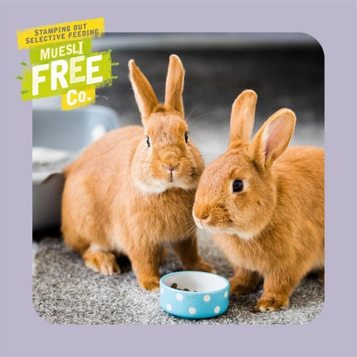 Burgess Excel Indoor Rabbit Nuggets