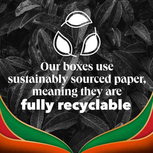 PG Tips Chai Warm and Spicy Plant Based Biodegradable Tea Bags
