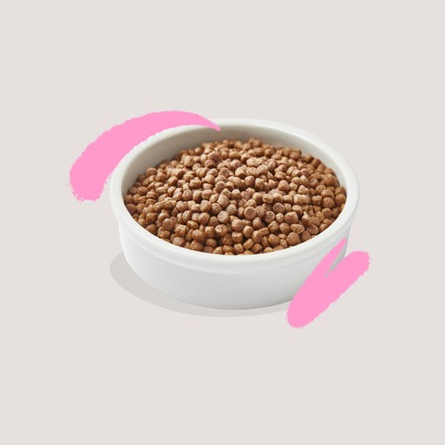 Edgard & Cooper Cat Dry Food Kitten Duck Chicken