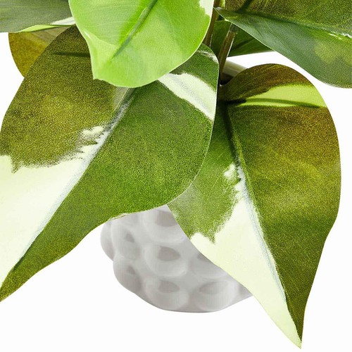 M&S Moss & Sweetpea Artificial Philodendron in Ceramic Pot Green
