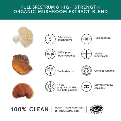 Together Health Mushroom 5 Lions Mane, Chaga & Reishi