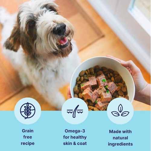 Tails.com Inner Vitality Sensitive Grain Free Dog Wet Food Chicken & Cod