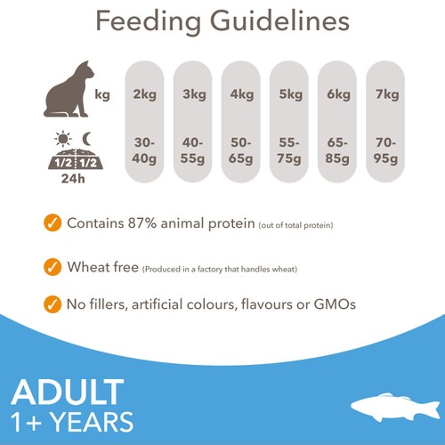 IAMS Advanced Nutrition Adult Cat Food Ocean Fish
