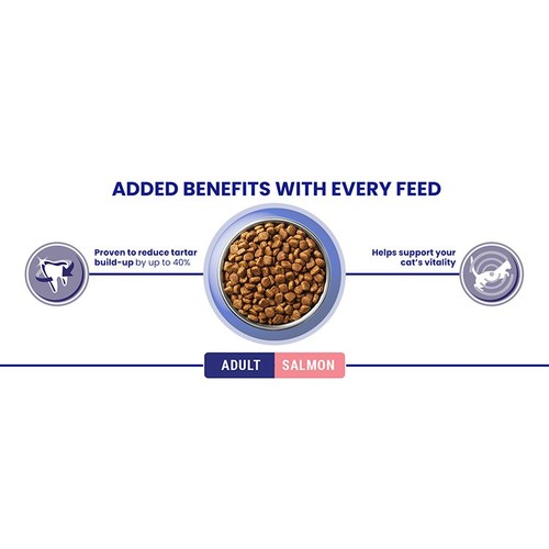 Purina One Salmon Dry Cat Food 