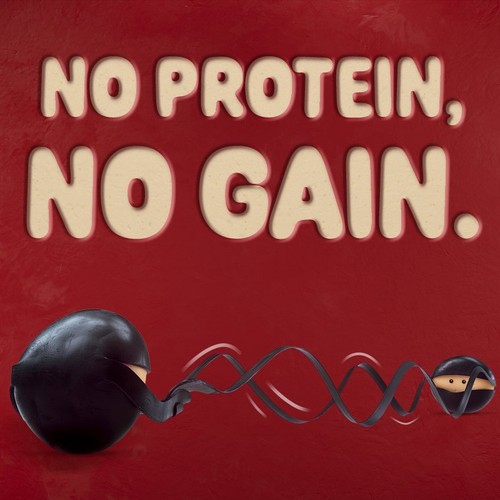 Mini Babybel Protein Cheese Snacks