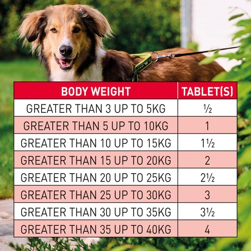 Beaphar WORMclear Tablets for Dogs Up to 40kg