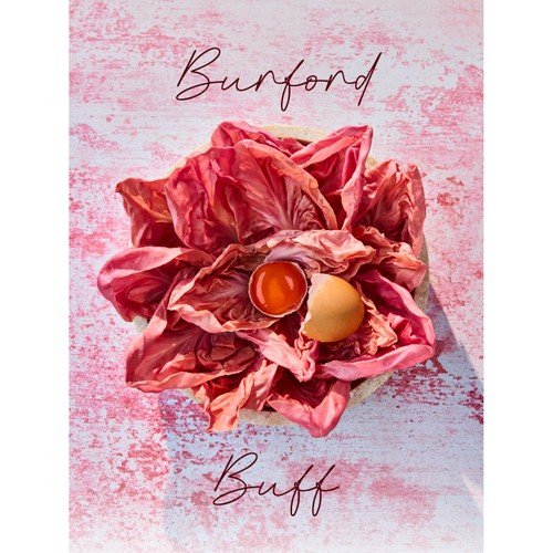 Clarence Court Burford Buff 10 Medium Free Range Eggs