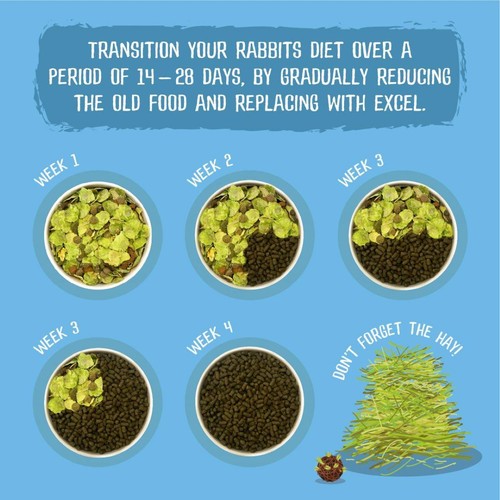 Burgess Excel Junior & Dwarf Rabbit Nuggets With Mint