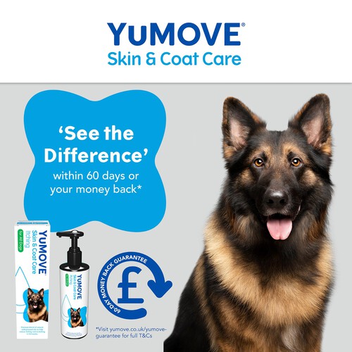 Itchy Skin Yumega Itchy Dog 500ml YuMOVE Skin Coat Care Itching