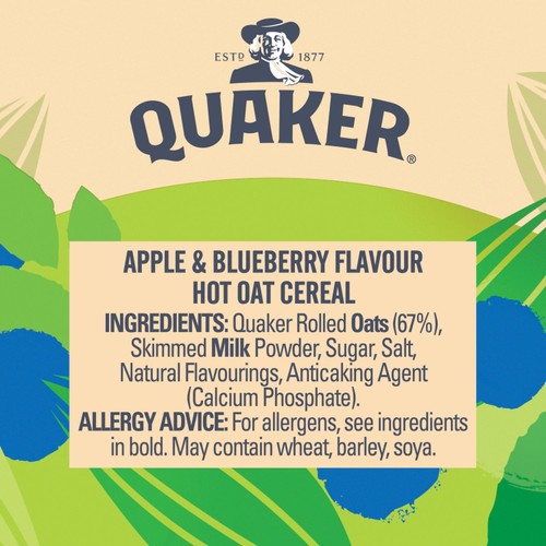 Quaker Oat So Simple Apple & Blueberry Porridge Cereal Pot