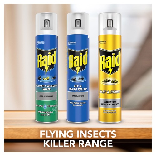 Raid Rapid Action Fly & Wasp Killer