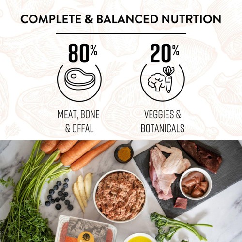 Benyfit Natural Tasty Turkey Complete Raw Dog Food