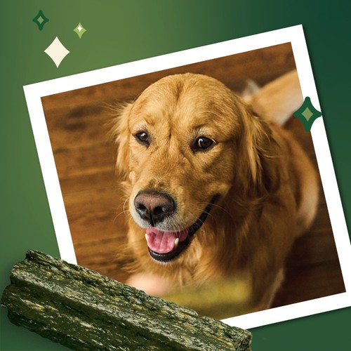 Lily's Kitchen Woofbrush Natural Daily Dental Chew Medium Dog Multipack