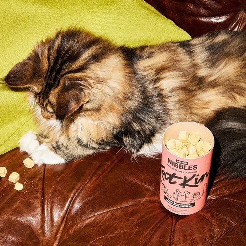 KatKin Salmon Nibbles Cat Treats