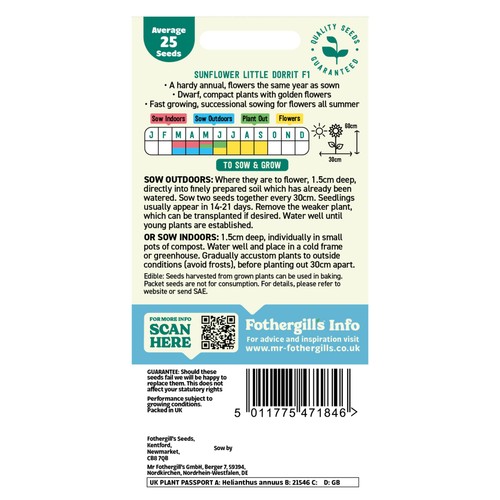 Mr Fothergills Seeds Sunflower Little Dorrit F1
