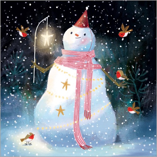 Robins Bumper Box Christmas Card Pack