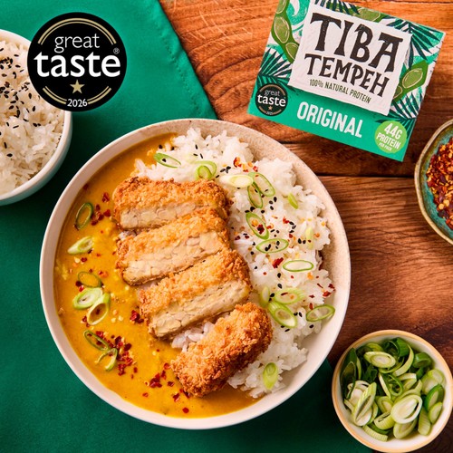 Tiba Tempeh Organic Original