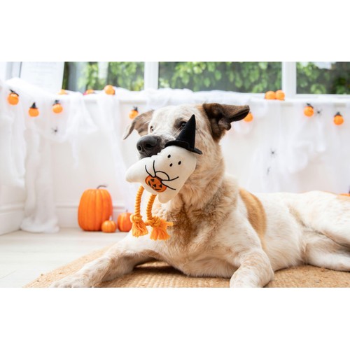 Spirit & Spook Gregory Ghost Dog Toy