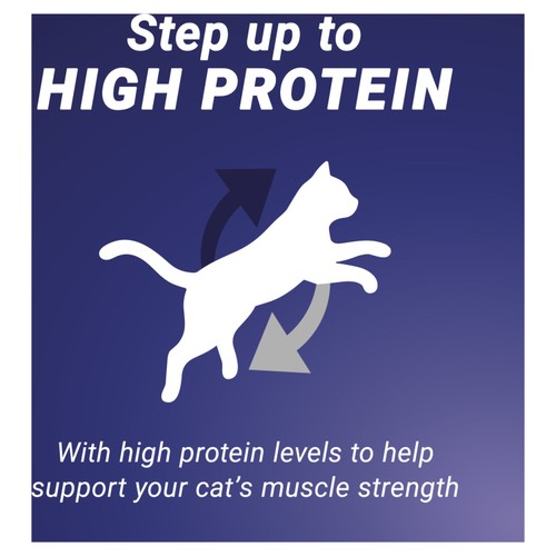 Purina One High Protein Salmon Dry Cat Food