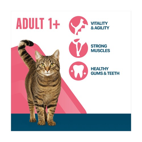 Perfect Fit Advanced Nutrition Adult Complete Dry Cat Food Salmon 