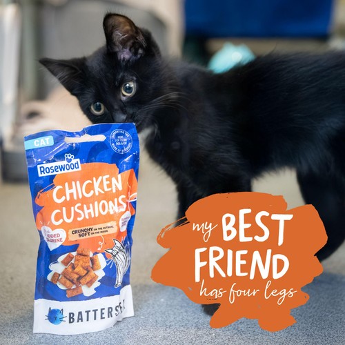 Battersea Anti-Hairball Chicken Cushions
