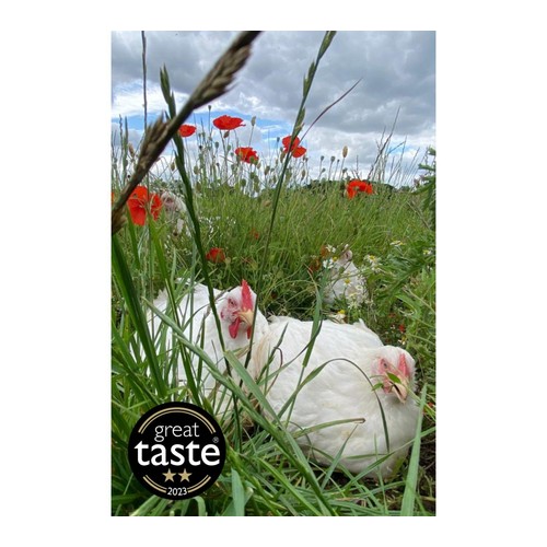 Packington Free Range Medium Whole Chicken
