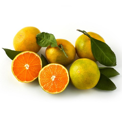 Natoora Italian Miyagawa Satsumas