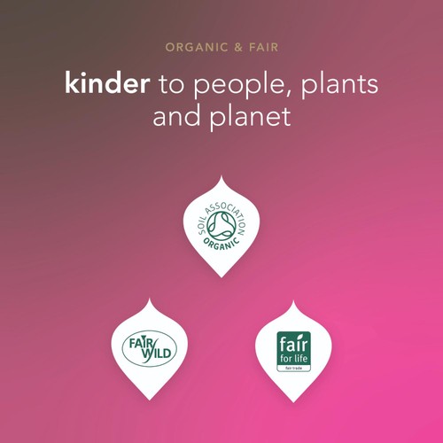 Pukka Organic Peppermint & Licorice Mint Tea x20 Compostable Tea Bags