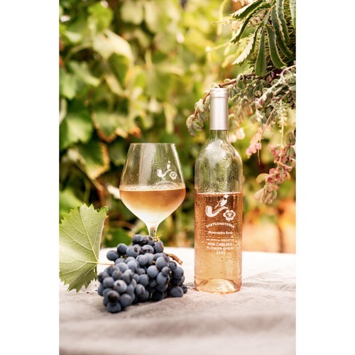 Babylonstoren Mourvedre South African Rose