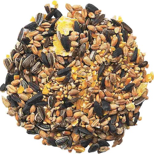 National Trust CJ Wildlife Garden Bird Table Seed