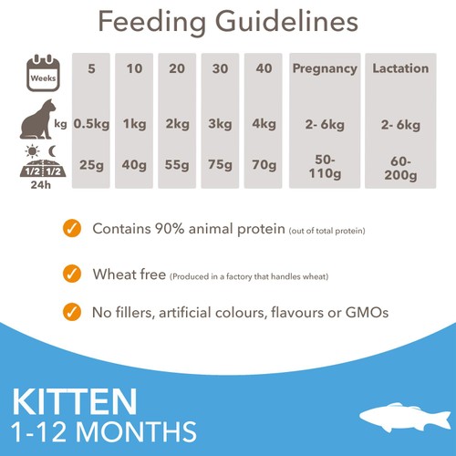 IAMS 1-12 Months Kitten Dry Cat Food Ocean Fish