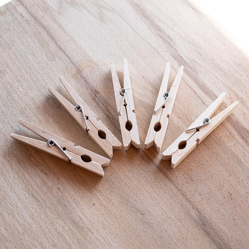 Sorbo Wooden Pegs
