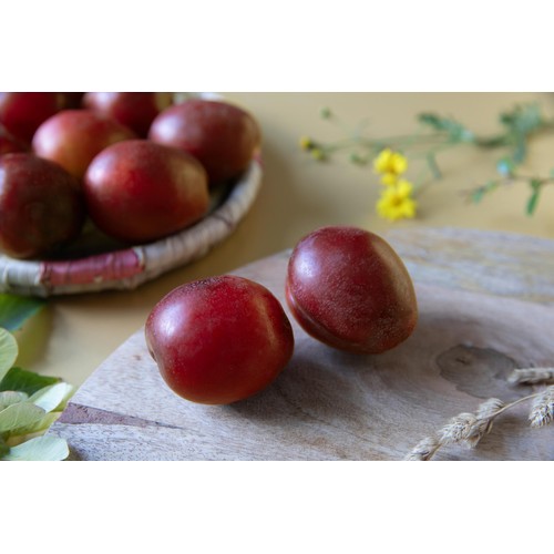 Diamond Crop Ripen at Home British Plum