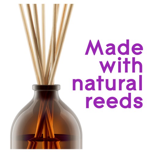 Glade Aromatherapy Reed Diffuser Moment of Zen