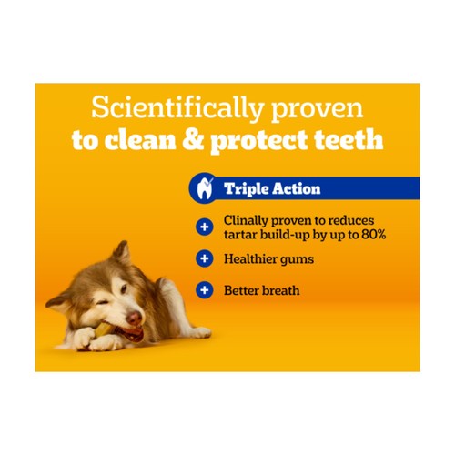 Pedigree Dentastix Daily Adult Large Dog Treats 21 x Dental Sticks
