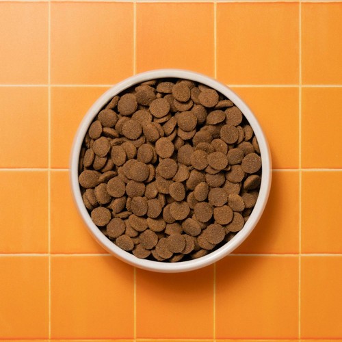 Pooch & Mutt Primal Wild Boar Meat Dry Food