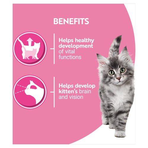 PURINA ONE Kitten Mini Fillets Salmon and Chicken Wet Cat Food