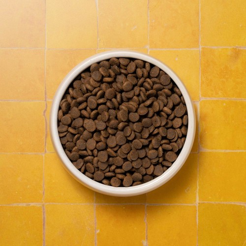 Pooch & Mutt Puppy Complete Grain Free Superfood
