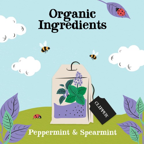 Clipper Peppermint & Spearmint Organic Tea Bags