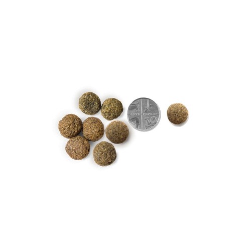 Vet's Kitchen Healthy Weight Adult Dry Dog Food Chicken & Brown Rice