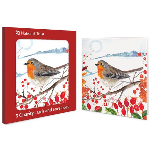 National Trust Robin Charity Assortment Christmas Card Pack